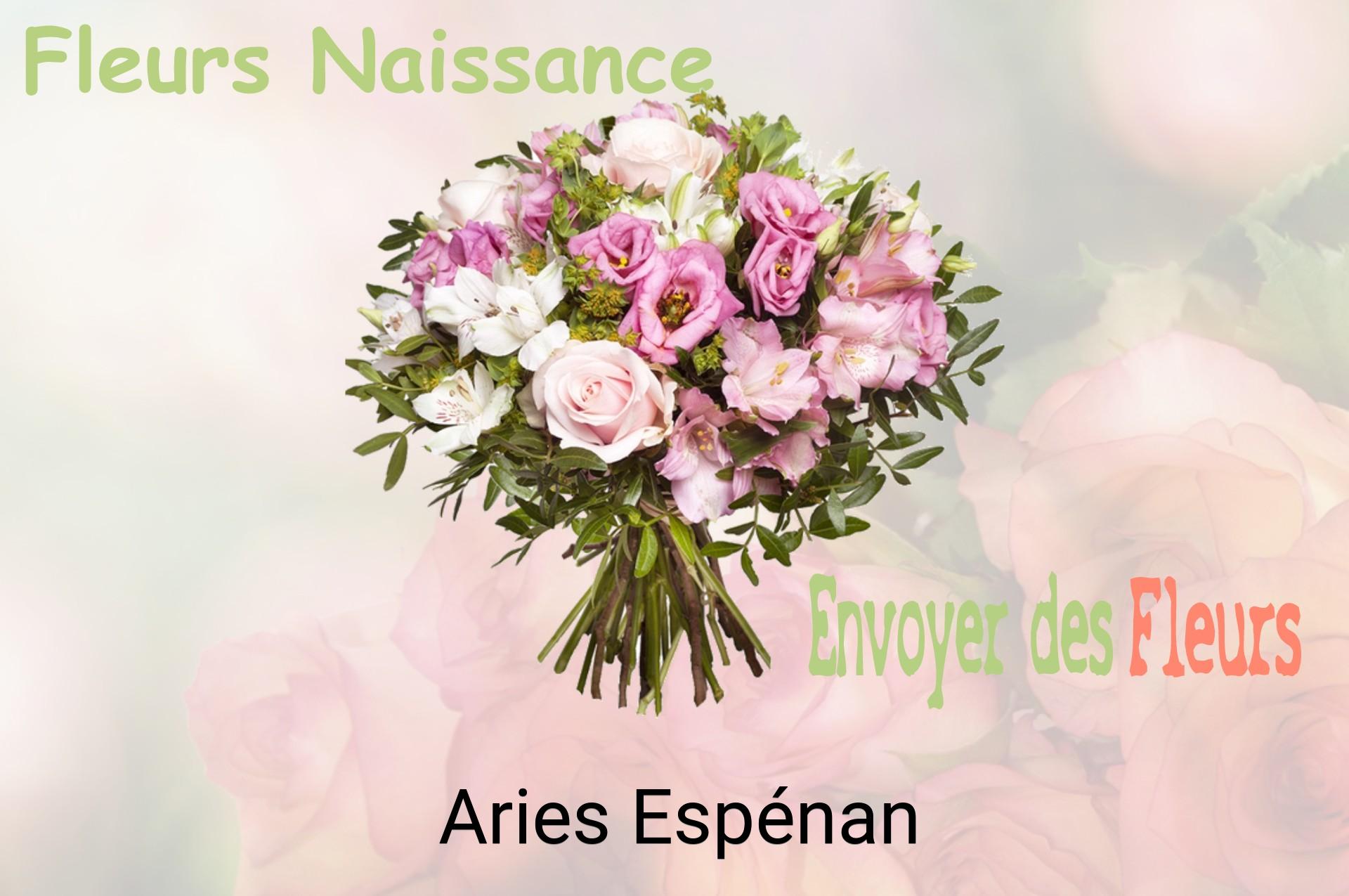 Bouquet de fleurs de naissance livré à Aries-Espénan